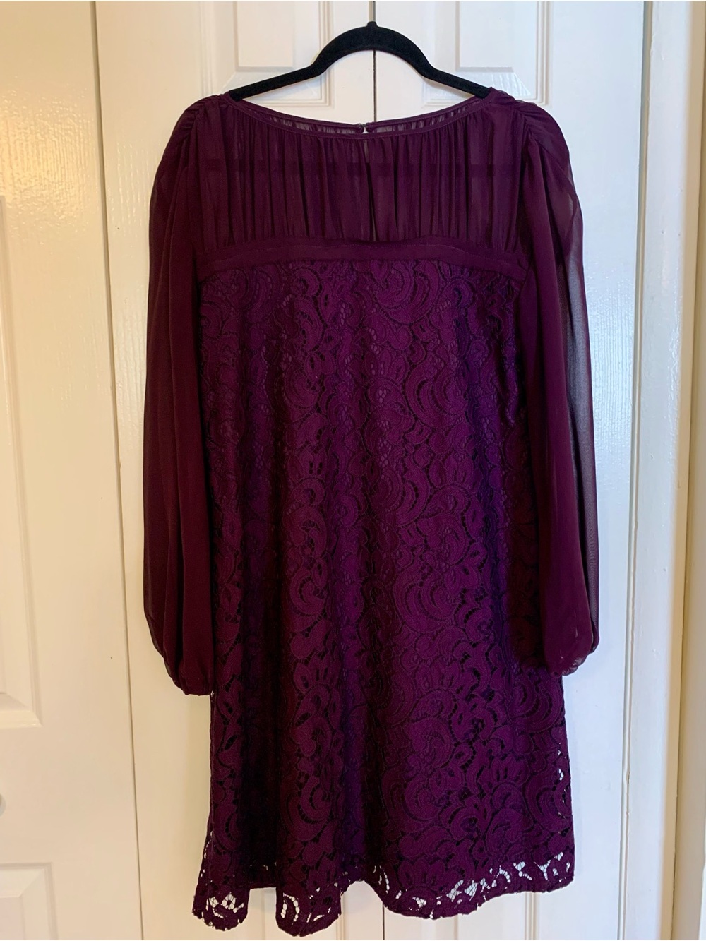 Taylor Plum Lace & Chiffon Long-Sleeve Dress